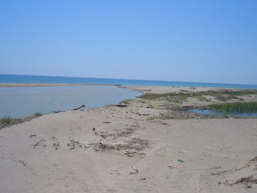 L’IMMACOLATO TACINA